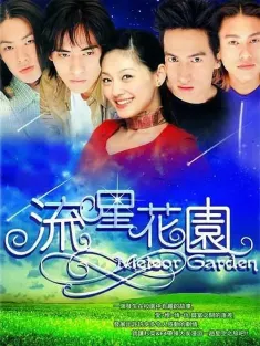 流星花园 流星花園 2001 花样男子/Meteor Garden