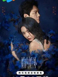 婚内婚外 (2024) 4K / 臻彩视听 / 杜比音效