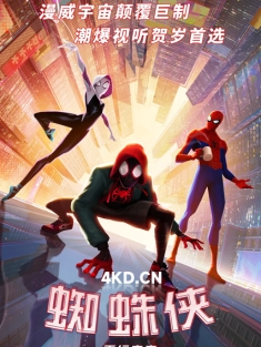 《蜘蛛侠：平行宇宙 Spider-Man: Into the Spider-Verse 2018》国英多音轨
