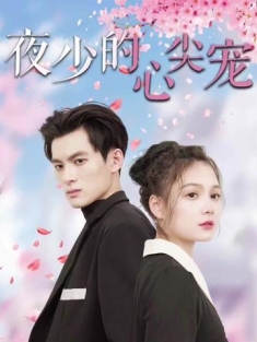 短剧《夜少的心尖宠》(94集) 网盘在线观看