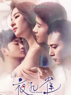 《夜孔雀 2016》夜孔雀·如果没有遇见你/Night Peacock/Le Paon de Nuit