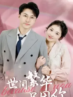 世间繁华只因你（75集）
