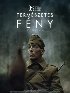 自然光线 Természetes fény 2021 Natural Light