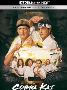 眼镜蛇 第六季 Cobra Kai Season 6 (2024) 眼镜蛇最终季/眼镜蛇道馆/豆瓣: