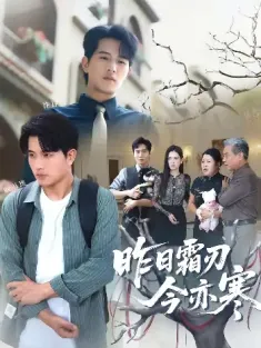 昨日霜刃今亦寒（80集）梅瑞滢&李刘朋