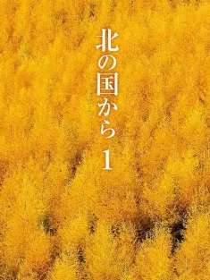 北国之恋 北の国から 1981 来自北国