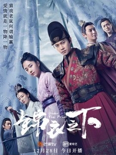 锦衣之下 / Under the Power / 4K.2160P.H.265.10BIT.HDR.REMUX.2019（阿里云盘资源）