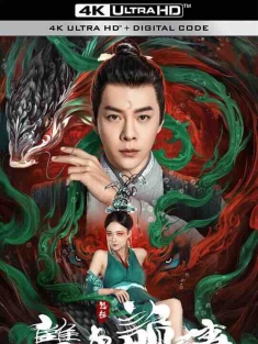 包拯之双鱼诡事 (2024) / 少年包拯之双鱼诡事 / 4K电影下载 / The.Mystery.of.Mirror.World.2024.2160p.WEB-DL.H265.DDP5.1