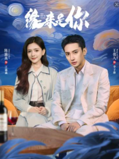 短剧《缘来是你》(98集) 网盘在线观看