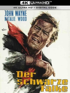 搜索者 The Searchers 1956 日落狂沙[美国]豆瓣: 7.9