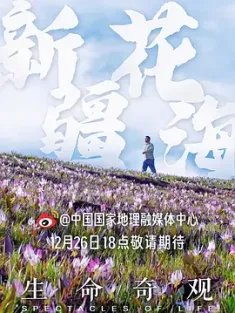 生命奇观 2023 Spectacles of Life[中国大陆]豆瓣: