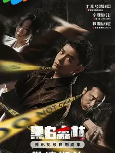 黑白森林 (2024) Black and White Forest [中国大陆]豆瓣: