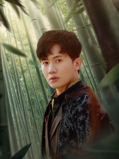 短剧《天下第一》(96集) 网盘在线观看