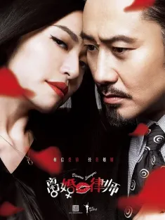 离婚律师 2014 Divorce Lawyers