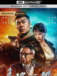 危险证据 (2024) / 4K电影下载 / Dangerous.Evidence.2024.2160p.WEB-DL.H265.HQ.AAC