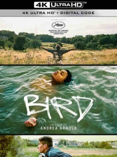 鸟 Bird 2024 女孩与鸟(台)[英国/美国/法国]豆瓣: 7.3