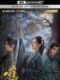 难寻 (2024) / 4K电视剧下载