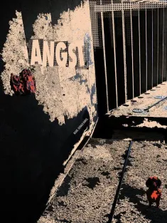 焦虑 Angst 1983 Fear