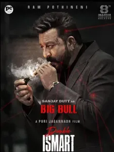 双重智脑 Double Ismart (2024) 敏捷的山卡尔2/印度/豆瓣: