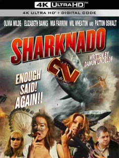 鲨卷风2 Sharknado 2: The Second One (2014) / 你是风儿我是鲨·纽约篇(豆友译名) / 4K电影下载 / Sharknado.2.The.Second.One.2014.2160p.HQ.WEB-DL.H265.AAC
