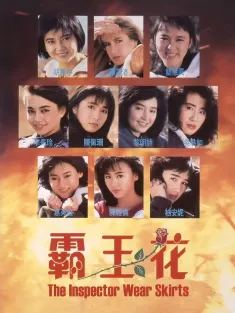 《霸王花 1988》霸王花与霸王花/Lady Enforcers/The Inspector Wears Skirts