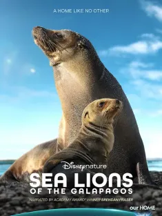 海狮利奥环岛记 Sea Lions of the Galápagos 2025 海狮利奥/加拉帕戈斯群岛的海狮/Sea Lions of the Galapagos