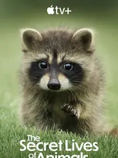 动物的秘密生活 The Secret Lives of Animals (2024)  [英国/美国]豆瓣: