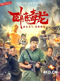 《卧底毒龙 2018》