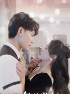 短剧《暮色藏深意&风会替我告别》(100集) 网盘在线观看