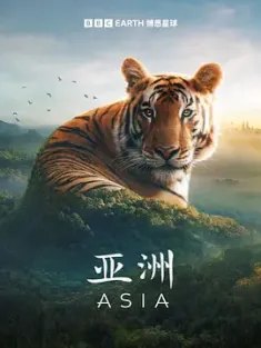亚洲 Asia (2024) [英国]IMDB:8.7 [中英双语配音,可自行切换]