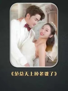 短剧《范总天上掉老婆了》(78集) 网盘在线观看