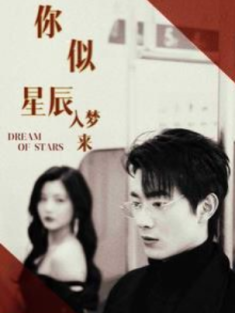 短剧《你似星辰入梦来》(105集) 网盘在线观看