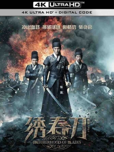 绣春刀 (2014) 飞鱼服绣春刀/斩立决/Brotherhood of Blades/中国大陆/豆瓣: 7.7