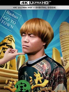 宝宝进城 (2017) / 4K电影下载 / Bao.Bao.Go.To.Town.2017.2160p.WEB-DL.H265.AAC
