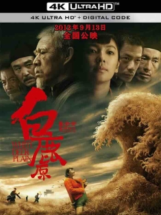 白鹿原 (2012) White Deer Plain/Bailu Place [中国大陆]豆瓣: 6.5