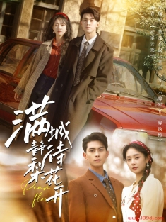 《满城静待梨花开》短剧高清全集免费在线观看播放完整版