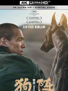 狗阵 (2024) 狗镇/斗狗/Black Dog/中国大陆/豆瓣: 7.2