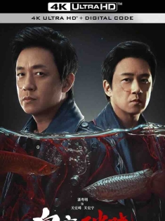 白夜破晓 (2024) 白夜追凶2/白夜追凶II/白夜追凶 第二季 [中国大陆]豆瓣: 7.0