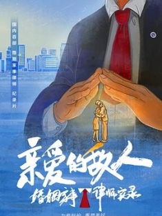 《亲爱的敌人 2022》亲爱的敌人：婚姻家事律师实录 I'm Your Lawyer