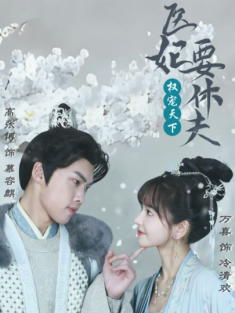 短剧《权宠天下：医妃要休夫》(94集) 网盘在线观看