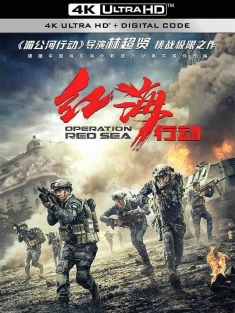 红海行动 (2018) 刀锋·红海行动/红海风暴/Operation Red Sea/中国大陆/中国香港/豆瓣: 8.2
