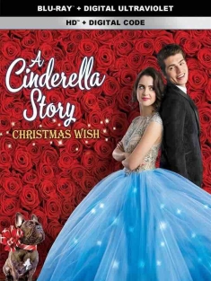 灰姑娘的故事：圣诞愿望 A Cinderella Story: Christmas Wish (2019) /美国/豆瓣: 5.8