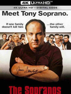黑道家族 1-6季 The Sopranos Season 1 1999 人在江湖(港)[美国]豆瓣: 8.9