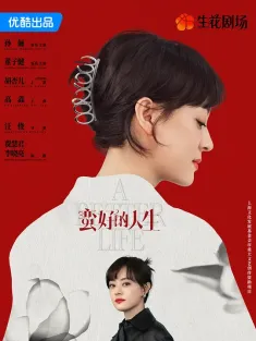 蛮好的人生 2025 三十九二十八/保险人生