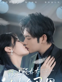 短剧《惊顾太太有十个马甲》(90集) 网盘在线观看