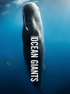 追踪海洋巨兽 Chasing Ocean Giants (2021) / 4K纪录片下载 / 阿里云盘分享 / Chasing.Ocean.Giants.S01.2021.2160p.WEB-DL.H264.AAC