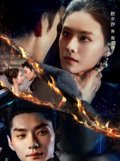 短剧《罪之花》(56集) 网盘在线观看