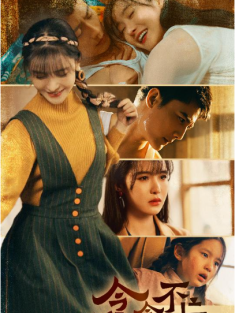 短剧《念念不忘爱有回响》(85集) 网盘在线观看