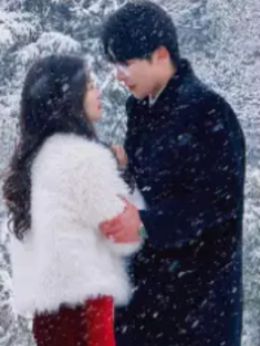 短剧《整个娱乐圈都在等我们离婚》(76集) 网盘在线观看