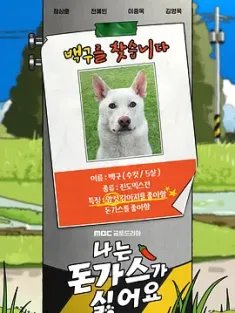 我讨厌炸猪排 나는 돈가스가 싫어요 2024 I hate pork cutlet[韩国]豆瓣: 6.5